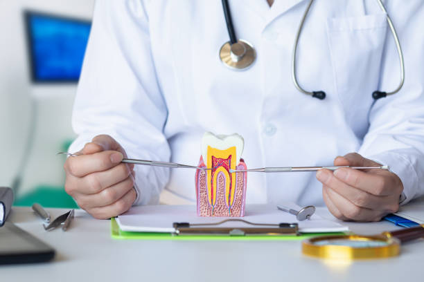 , CT Emergency Dental Service Company